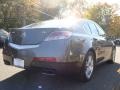 Polished Metal Metallic - TL 3.5 Photo No. 4