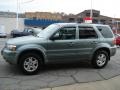 2006 Titanium Green Metallic Ford Escape Limited 4WD  photo #5