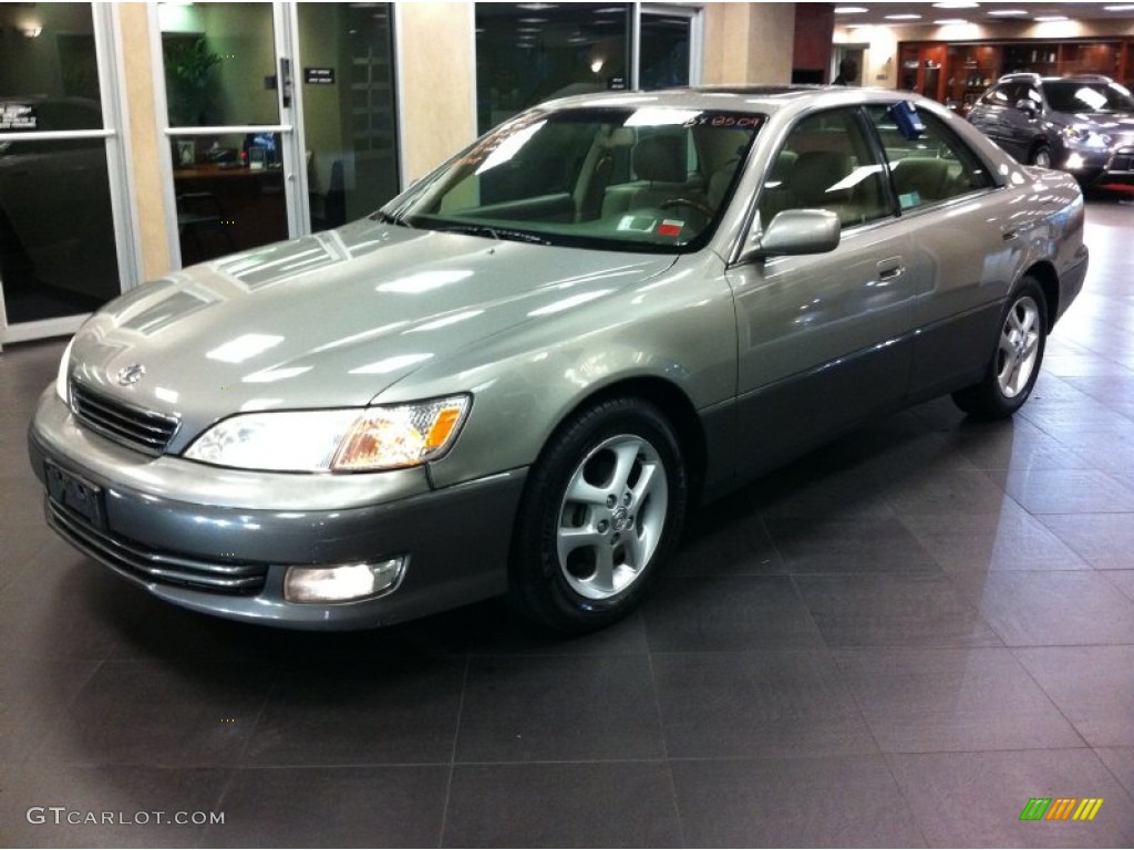 2001 ES 300 - Graphite Gray Metallic / Gray photo #3