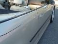 Parchment Silver Metallic - 9-3 2.0T Convertible Photo No. 22