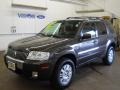 Charcoal Beige Metallic 2006 Mercury Mariner Convenience