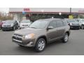 Pyrite Metallic - RAV4 Limited Photo No. 1