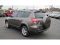 Pyrite Metallic - RAV4 Limited Photo No. 3