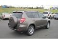 Pyrite Metallic - RAV4 Limited Photo No. 5
