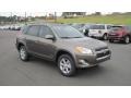 Pyrite Metallic - RAV4 Limited Photo No. 7