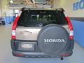 2005 Sahara Sand Metallic Honda CR-V EX 4WD  photo #3
