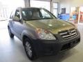 2005 Sahara Sand Metallic Honda CR-V EX 4WD  photo #4