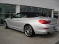 Titanium Silver Metallic - 6 Series 650i Convertible Photo No. 6