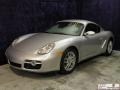 Arctic Silver Metallic - Cayman  Photo No. 4