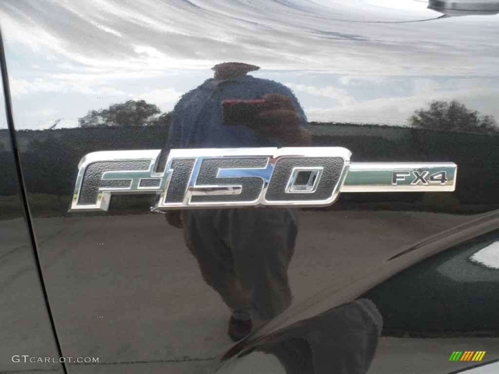 2010 F150 FX4 SuperCrew 4x4 - Tuxedo Black / Black photo #16