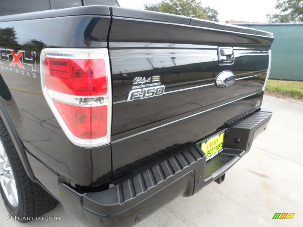 2010 F150 FX4 SuperCrew 4x4 - Tuxedo Black / Black photo #23