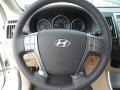 Beige Steering Wheel Photo for 2012 Hyundai Veracruz #56223497