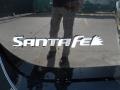 2012 Hyundai Santa Fe GLS V6 Marks and Logos