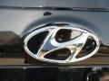 2012 Hyundai Santa Fe GLS V6 Marks and Logos