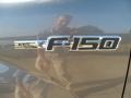 2011 Sterling Grey Metallic Ford F150 Texas Edition SuperCrew  photo #14