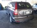 2010 Urban Titanium Metallic Honda CR-V EX-L AWD  photo #2