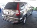 2010 Urban Titanium Metallic Honda CR-V EX-L AWD  photo #30