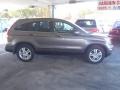 2010 Urban Titanium Metallic Honda CR-V EX-L AWD  photo #31