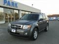 2010 Sterling Grey Metallic Ford Escape XLT 4WD  photo #1