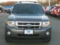 2010 Sterling Grey Metallic Ford Escape XLT 4WD  photo #20