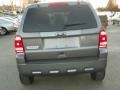 2010 Sterling Grey Metallic Ford Escape XLT 4WD  photo #21