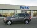 2010 Sterling Grey Metallic Ford Escape XLT 4WD  photo #22