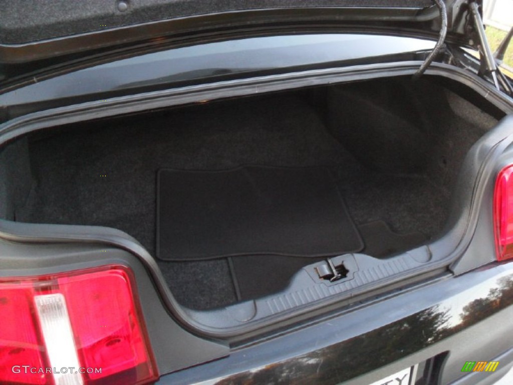 2010 Ford Mustang GT Premium Coupe Trunk Photo #56232895