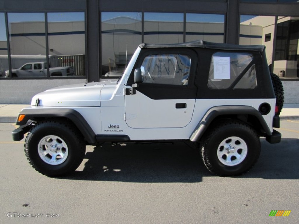 2004 Wrangler SE 4x4 - Bright Silver Metallic / Dark Slate Gray photo #2