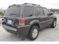 Charcoal Beige Metallic - Mariner Luxury Photo No. 5
