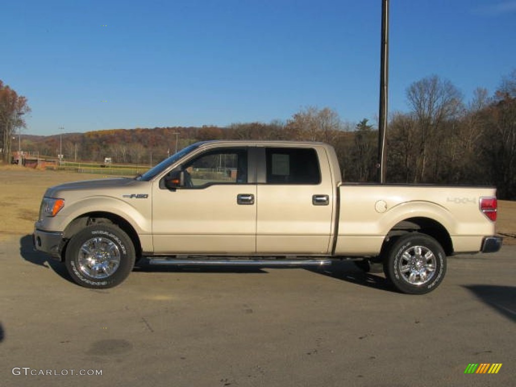 Pueblo Gold Metallic 2010 Ford F150 XLT SuperCrew 4x4 Exterior Photo #56237017