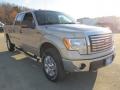 2010 Pueblo Gold Metallic Ford F150 XLT SuperCrew 4x4  photo #4