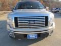 2010 Pueblo Gold Metallic Ford F150 XLT SuperCrew 4x4  photo #5