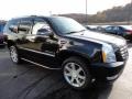 Black Raven - Escalade AWD Photo No. 6
