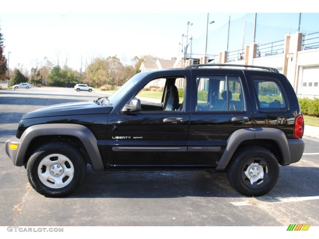 2002 Liberty Sport 4x4 - Black / Dark Slate Gray photo #3