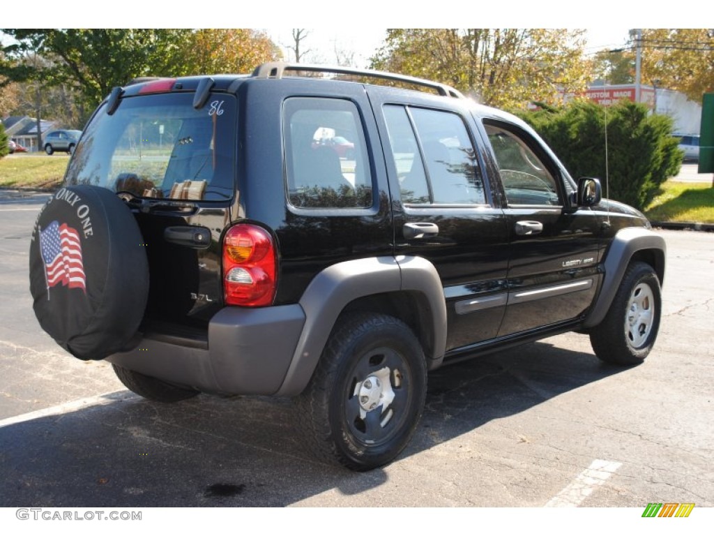 2002 Liberty Sport 4x4 - Black / Dark Slate Gray photo #6