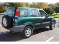 Clover Green Pearl - CR-V EX 4WD Photo No. 6