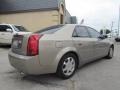 Cashmere - CTS Sedan Photo No. 3