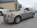 Cashmere - CTS Sedan Photo No. 7