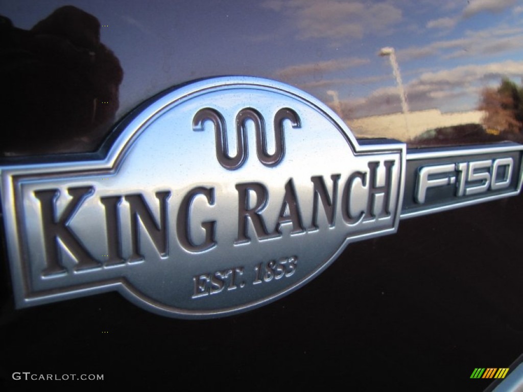 2003 F150 King Ranch SuperCrew 4x4 - Chestnut Metallic / Castano Brown Leather photo #10