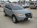 2009 Steel Gray Hyundai Santa Fe GLS  photo #7