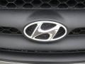 2009 Steel Gray Hyundai Santa Fe GLS  photo #23