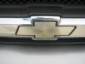 Sandalwood Metallic - TrailBlazer LS Photo No. 23