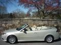 Parchment Silver Metallic - 9-3 2.0T Convertible Photo No. 12