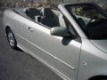 Parchment Silver Metallic - 9-3 2.0T Convertible Photo No. 17