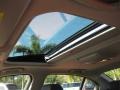 Black Sunroof Photo for 2010 BMW 3 Series #56254559