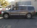 Silver Graphite Gray - QX 56 4WD Photo No. 3