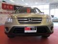 Sahara Sand Metallic - CR-V SE 4WD Photo No. 2