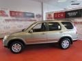 Sahara Sand Metallic - CR-V SE 4WD Photo No. 4