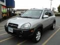 2005 Sahara Silver Hyundai Tucson GLS V6  photo #1