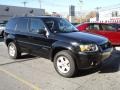 Black 2007 Ford Escape Hybrid